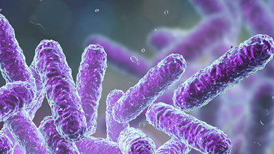 Crohn's and Colitis Center Treatments and services offered through the Mass General Digestive Healthcare Center