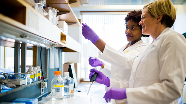 Two scientists at a research bench Two scientists at a research bench