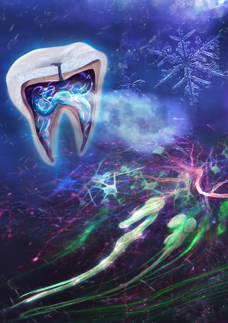 Illustration of a fanged snake with icy breath inside of a tooth.