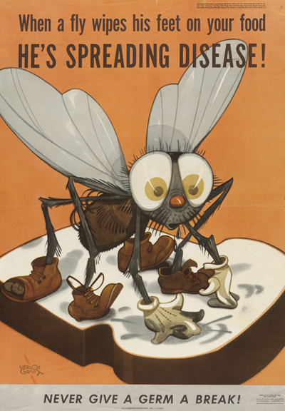 A cartoon of a surprised fly wearing four dirty shoes and a pair of dirty gloves, standing on a slice of bread. The lettering reads, "When a fly wipes his feet on your food he's spreading disease! Never give a germ a break!"