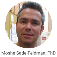 Moshe Sade-Feldman