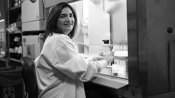 Marcela Maus, MD, PhD