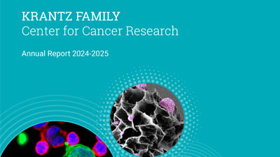 View our annual report