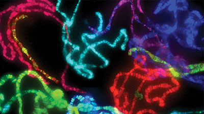 Kraft Prize Symposium