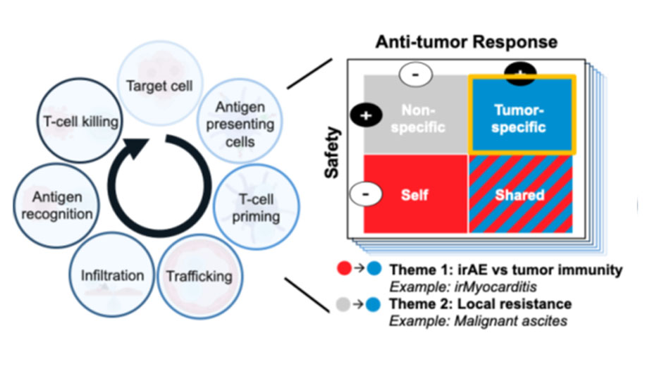Model for improving outcomes for cancer patients receiving immunotherapy. Model for improving outcomes for cancer patients receiving immunotherapy.