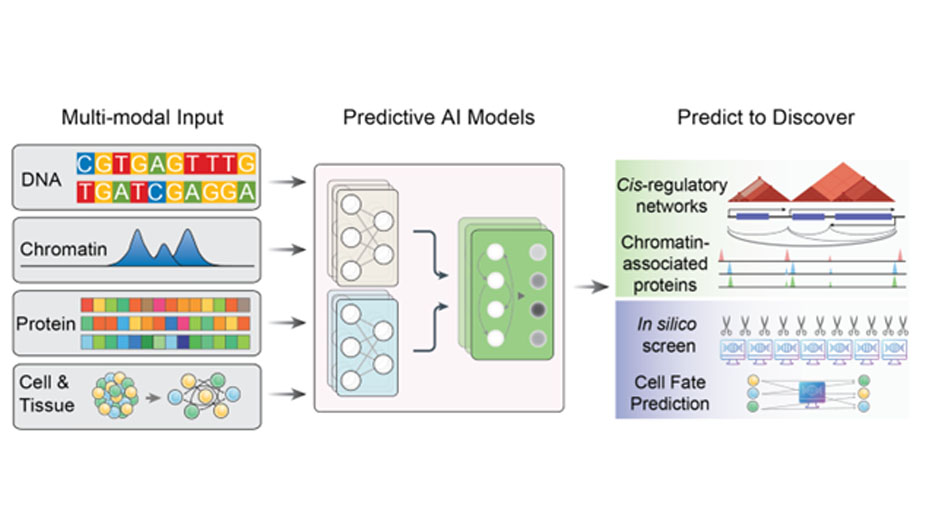 Multi-modal input - Prediective AI Models - Predict to Discover Multi-modal input - Prediective AI Models - Predict to Discover