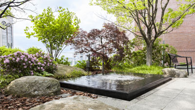 Learn about our supportive care programs.