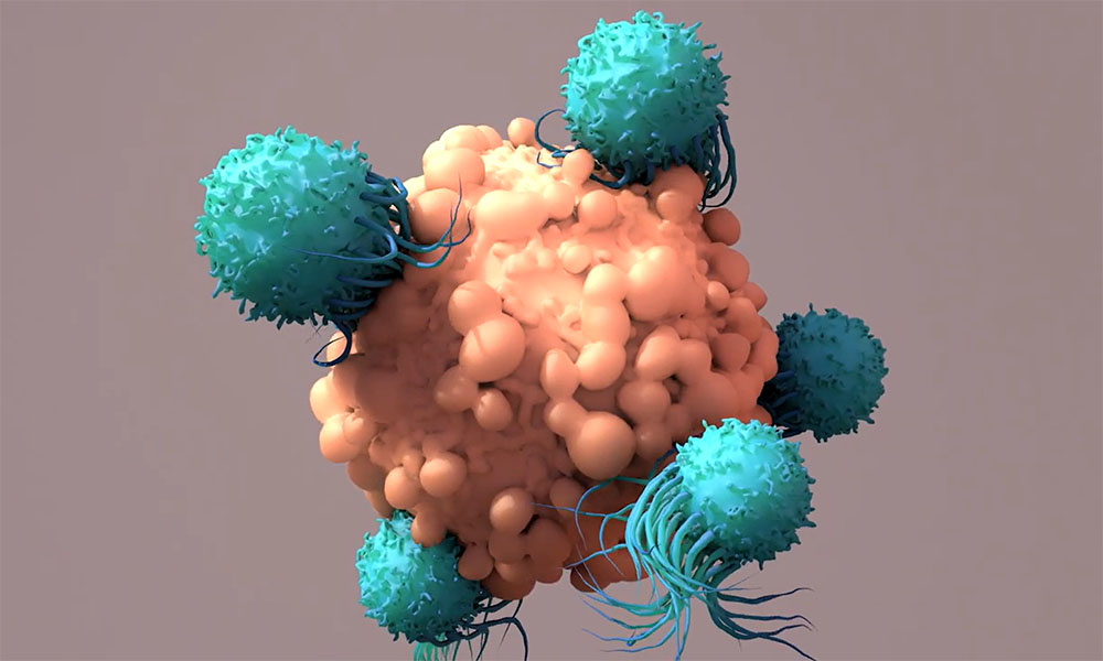 CAR T-Cell CAR T-Cell