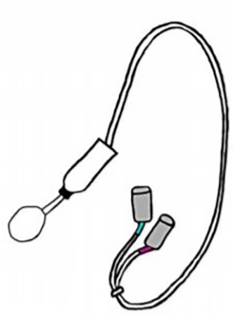 A device used during an anorectal manometry test.
