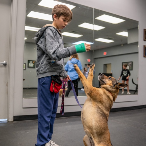 Boy with wrist cast high-fives dog