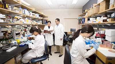 News Review a list of selected publications from our researchers.