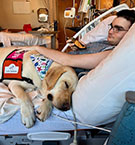 Kayce the facility dog comforts Matthew in the hospital