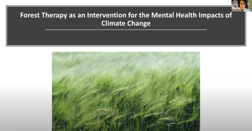 Video: Forest Therapy as an Intervention for Mental Health Impacts of Climate Change