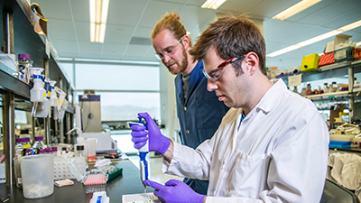 Appointment Extension Requests Appointment Extension Requests page