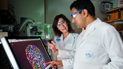 Resources for New Faculty Resources for New Faculty