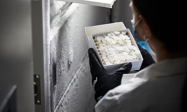 Coronary artery disease