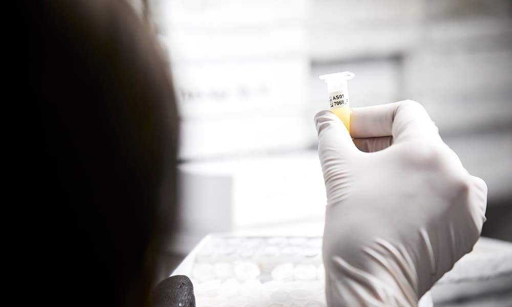 Scientist doing research