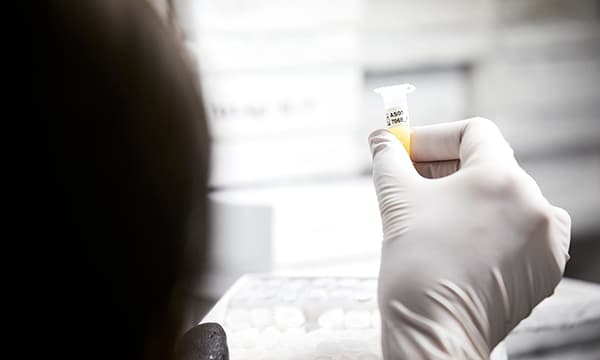 Scientist doing research