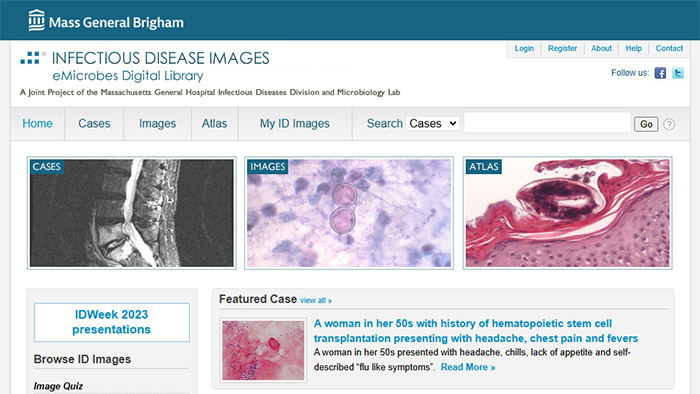 Cropped screenshot of the Heading Home Healthy website