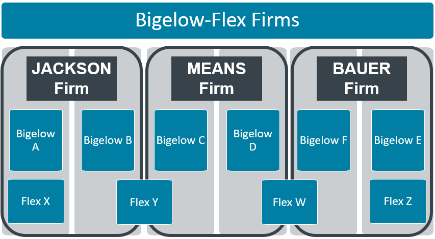Diagram showing how the various Bigelow and Flex entities are grouped under the Jackson, Means, and Bauer firms.