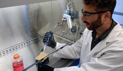 Research and Clinical Efforts