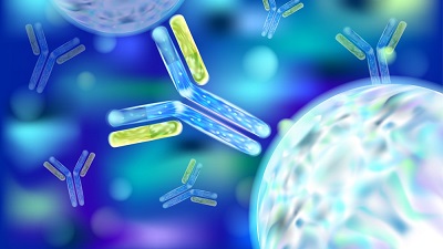 Immunology and Inflammatory Diseases