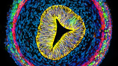 Our Research Research Overview