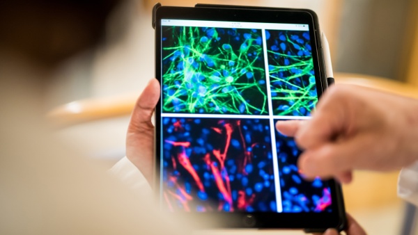 Closeup of a phone Closeup of a phone