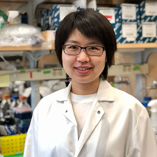 Xin Jiang, PhD