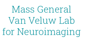 Van Veluw Lab for Neuroimaging at Mass General
