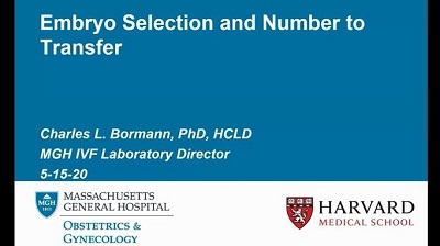 Embryo Selection and Transfer Video: Embryo Selection and Transfer