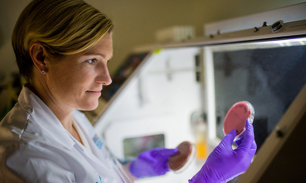 A researcher holds up a sample in a petri dish.