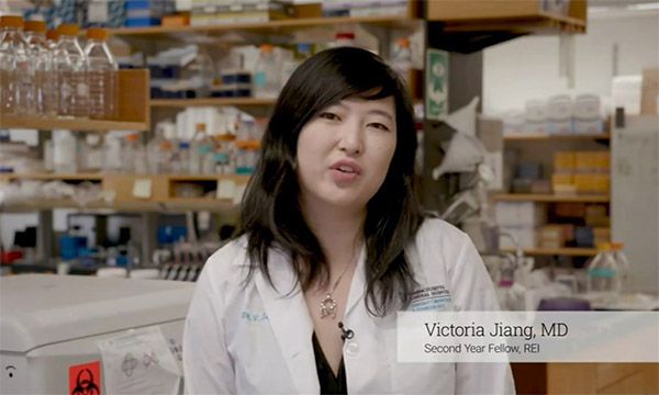 Video: Reproductive Endocrinology & Infertility Fellowship at Mass General Video: Reproductive Endocrinology & Infertility Fellowship at Mass General