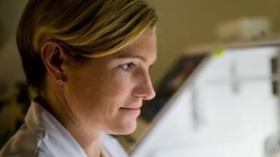 Mitchell Lab Mitchell Lab