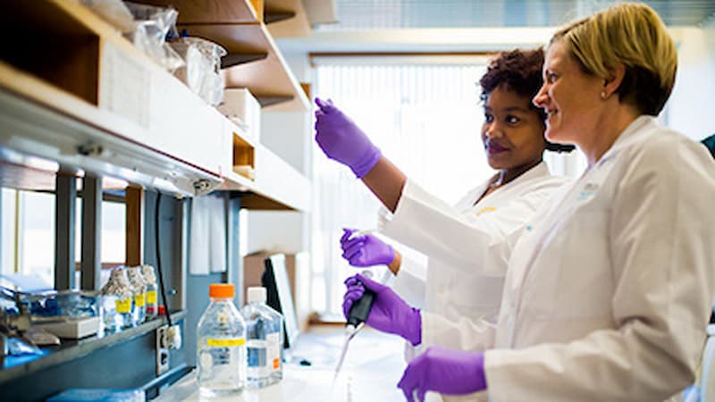 Two researchers in a lab Two researchers in a lab
