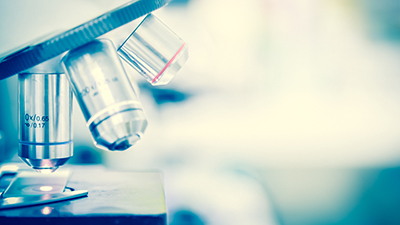 Orthopaedic Research