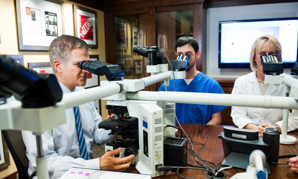 Pathologists looking into microscopes