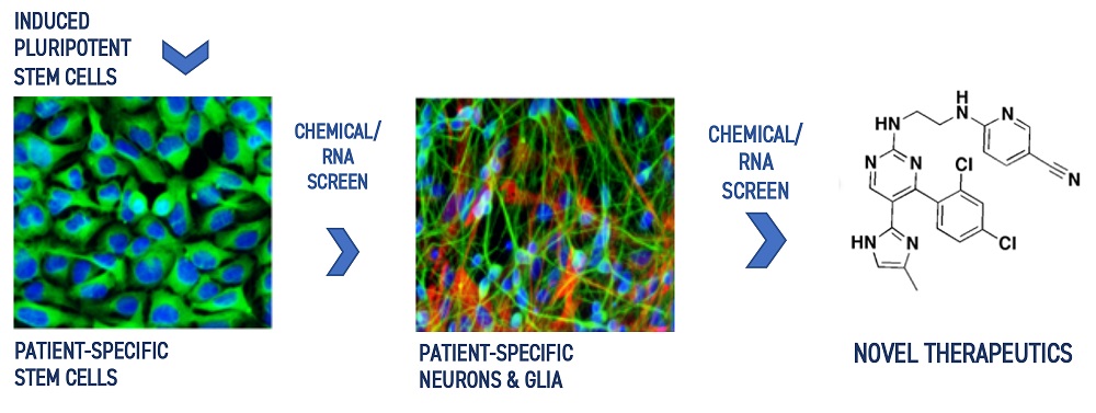 Chemical Neurobiology Laboratory graphic