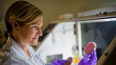 Find a Researcher Search for Mass General researchers by name or research interest