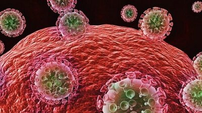 Discovery of Second Patient With Sterilizing Cure for HIV Sparks Hope for New Treatment Strategy