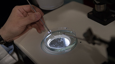 Accelerate Research donate to the CRM