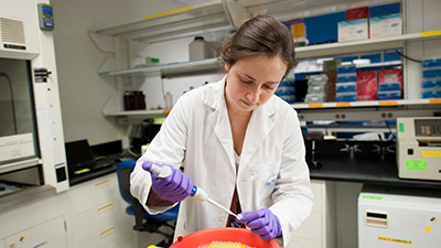 Education and Training Education opportunities