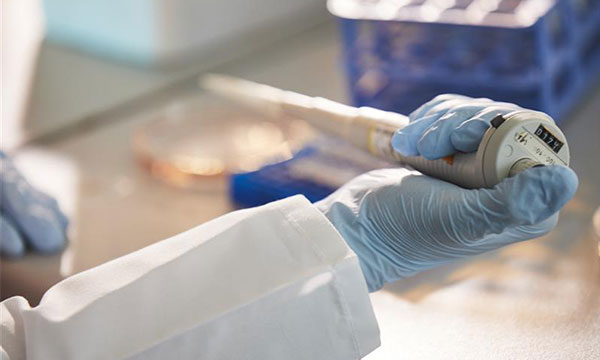 A researcher holds a pipette in a laboratory