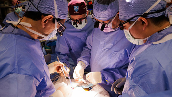 Transplant surgeons before a xenotransplant to living human recipient