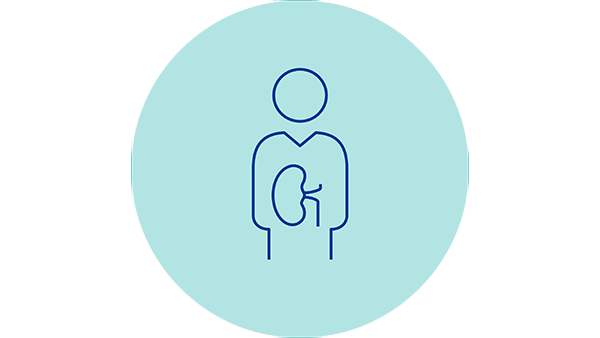 A line drawing of a person with a new kidney
