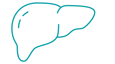 To refer a patient to the Liver Transplant Program, submit an online request form.