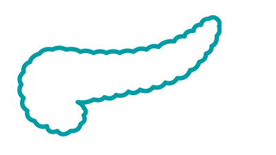 To refer a patient to the Pancreas Transplant Program, submit an online request form.