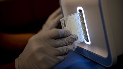 Researcher inserts sample for analysis