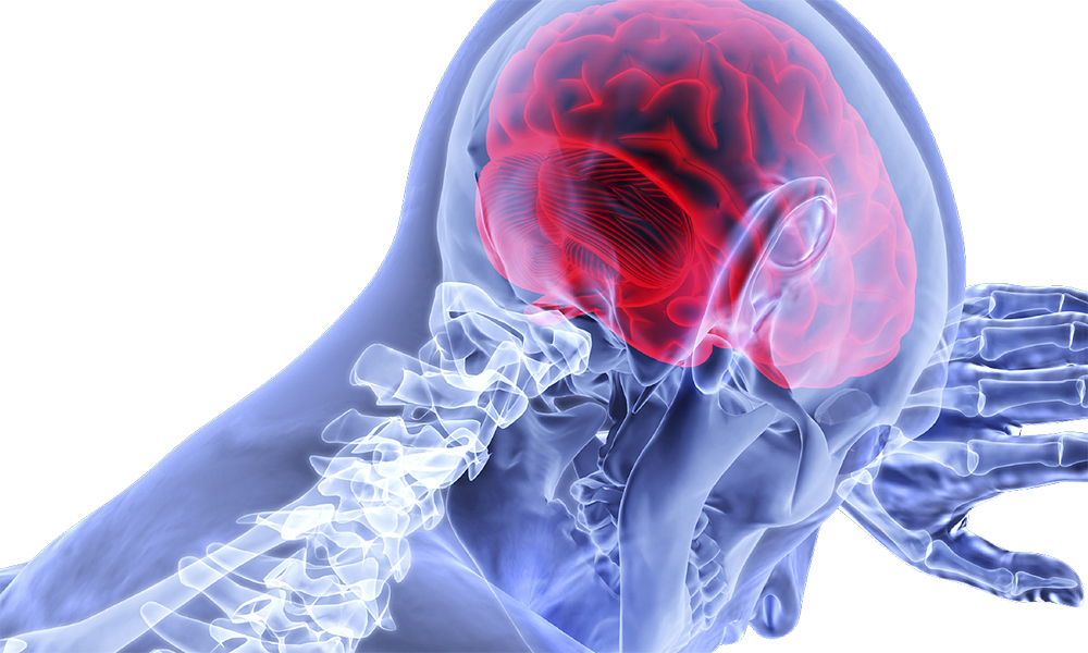 3D image of human head showing the brain and spine 3D image of human head showing the brain and spine