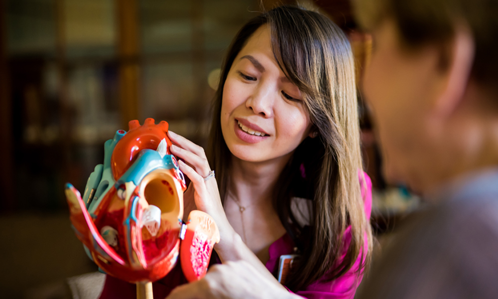 Examining a model of a heart at the Blum center Examining a model of a heart at the Blum center